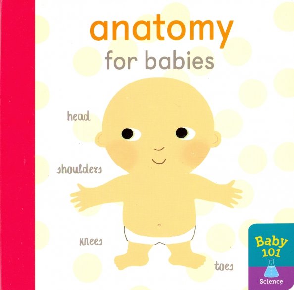 Anatomy for Babies