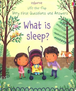 What is Sleep?