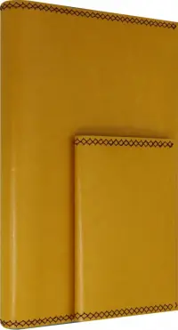 Ежедневник недатированный. Баффало, А5+, 160 листов, желтый