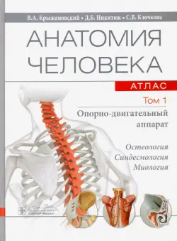 Анатомия человека. Атлас. В 3-х томах. Том 1. Опорно-двигательный аппарат