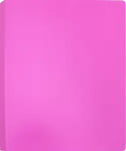 Папка с 20 прозрачными вкладышами "Бюрократ. Double Neon", цвет: розовый, A4, арт. DNE07V20PINK