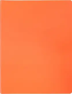 Папка с 20 прозрачными вкладышами "Бюрократ. Double Neon", цвет: оранжевый, A4, арт. DNE07V20OR
