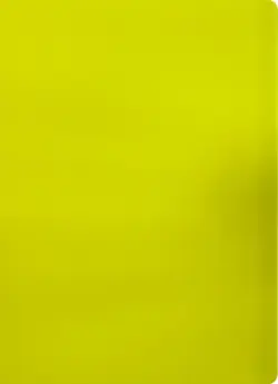 Папка с 30 прозрачными вкладышами "Бюрократ. Double Neon", цвет: желтый, A4, арт. DNE07V30YEL