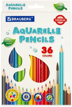 Карандаши цветные акварельные "Premium Aquarelle", 36 цветов, грифель мягкий 4 мм