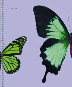Тетрадь Butterflies, А5, 48 листов, клетка