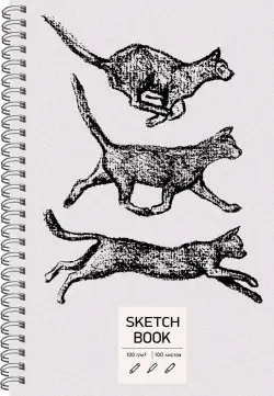 Скетчбук "Sketchbook. Кошки", А5, 100 листов