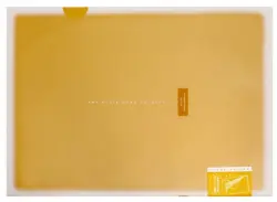 Папка-уголок "Coloree", А4, оранжевый, 2 кармана (FV-TDV750YR)
