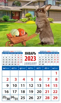 Календарь на 2023 год. Год кролика. Хороший урожай