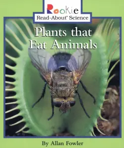 Plants that Eat Animals
