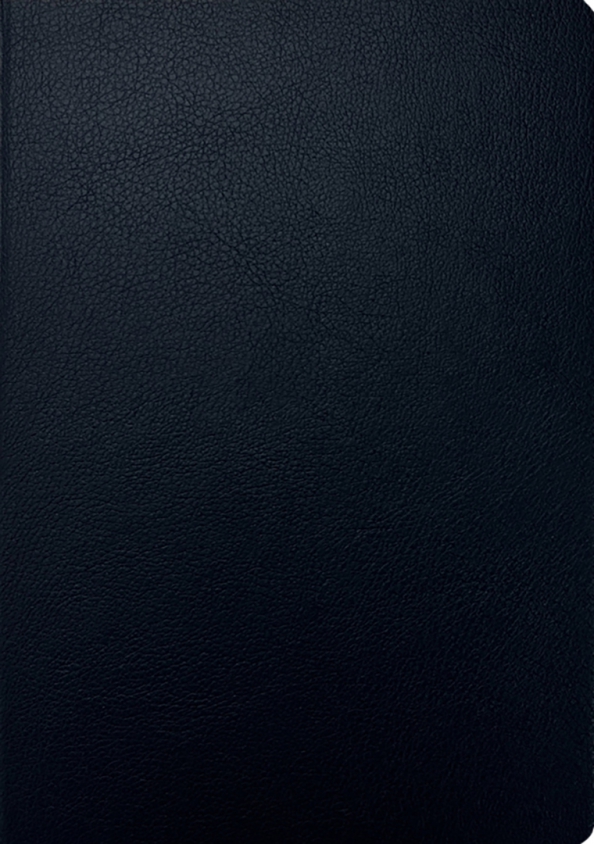 Ежедневник Minimalism черный, А5, 112 листов