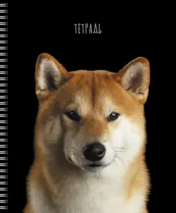 Тетрадь Selfie dog, А5, 48 листов, клетка, гребень