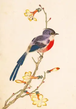 Птицы, насекомые и цветы. Синяя птичка, 32 листа