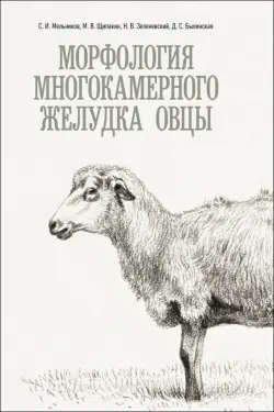 Морфология многокамерного желудка овцы. Монография