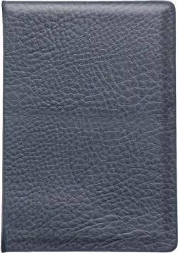Ежедневник недатированный Buffalo, серый, А5, 160 листов