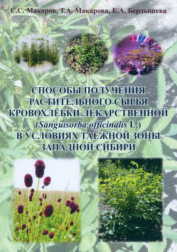 Способы получения растительного сырья кровохлебки лекарственной (Sanguisorba officinalis L.) в условиях таёжной зоны Западной Сибири