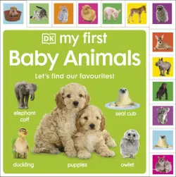 My First Baby Animals. Let's Find Our Favourites!