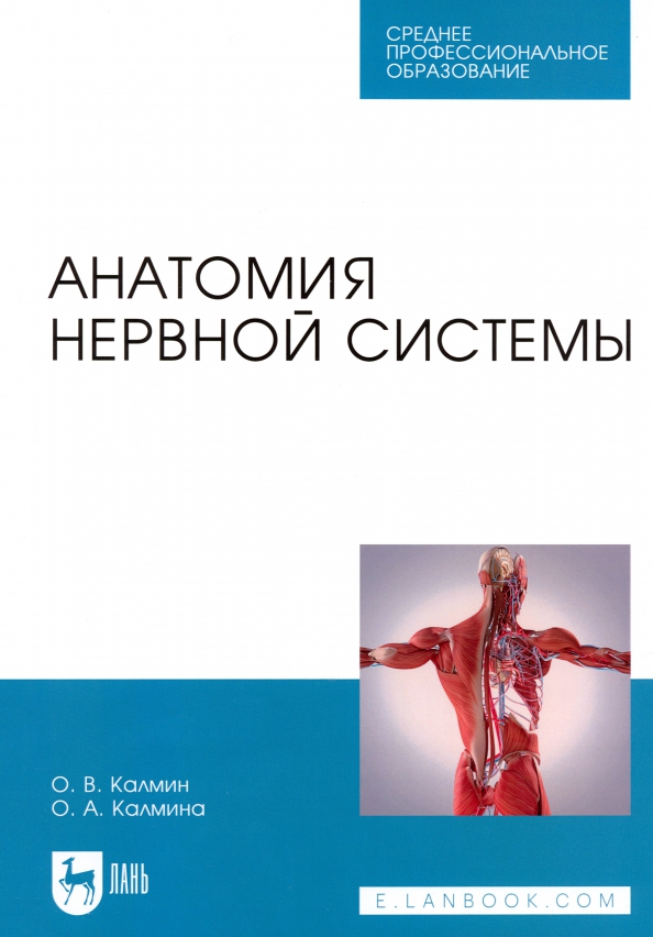 Анатомия нервной системы. Учебное пособие для СПО