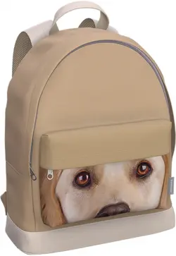 Рюкзак с отделением для ноутбука Beige Dog