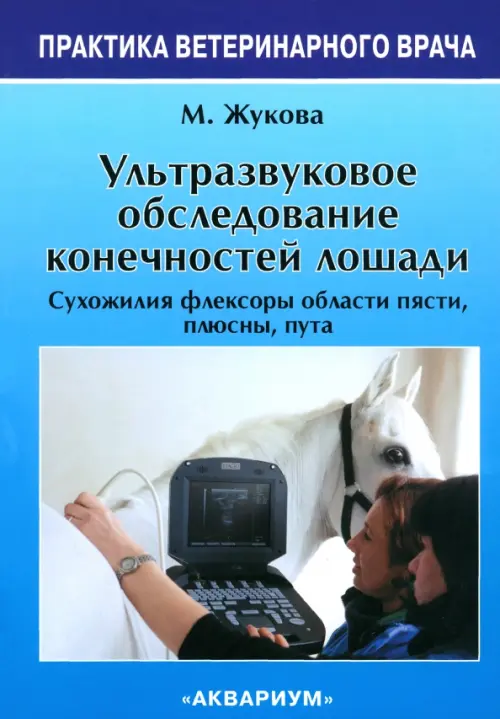 Ультразвуковое обследование конечностей лошади - Жукова Мария Владимировна