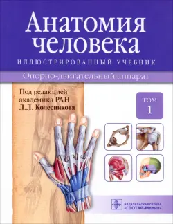 Анатомия человека. Иллюстрированный учебник. В 3-х томах. Том 1. Опорно-двигательный аппарат