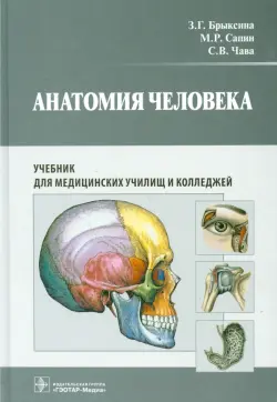 Анатомия человека. Учебник для медицинских училищ и колледжей. Гриф МО РФ