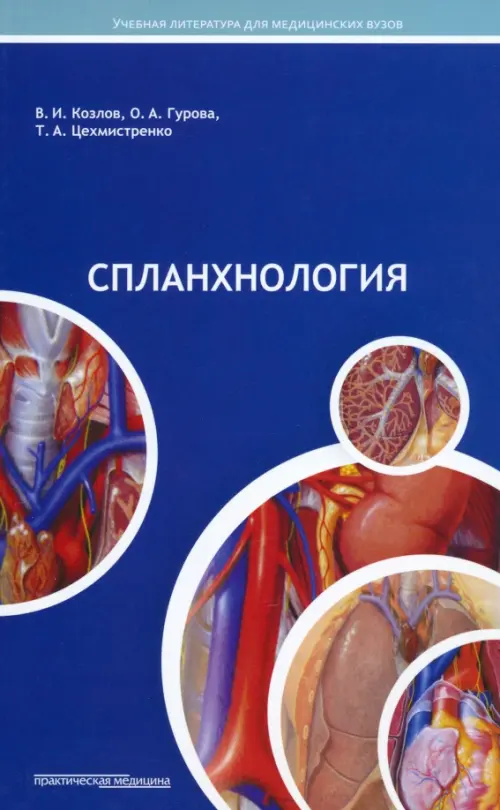 Спланхнология. Лекции по анатомии человека
