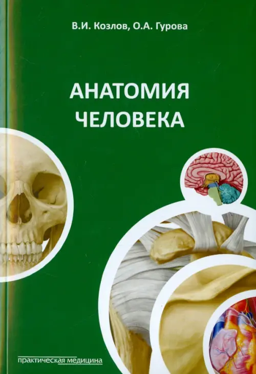 Анатомия человека. Краткий курс Практическая медицина, цвет зелёный