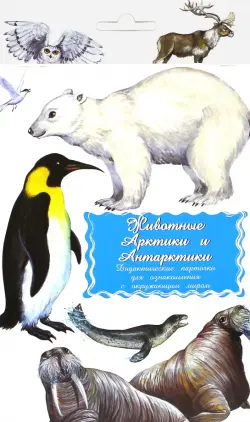 Дидактические карточки "Животные Арктики и Антарктики"
