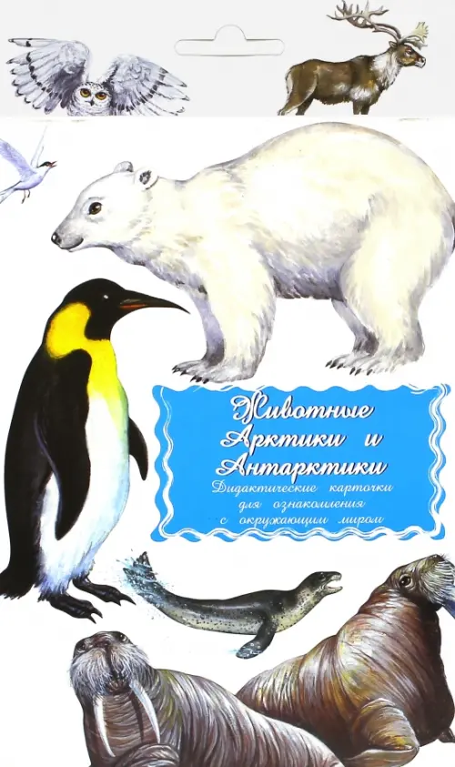 Дидактические карточки Животные Арктики и Антарктики, 206.00 руб
