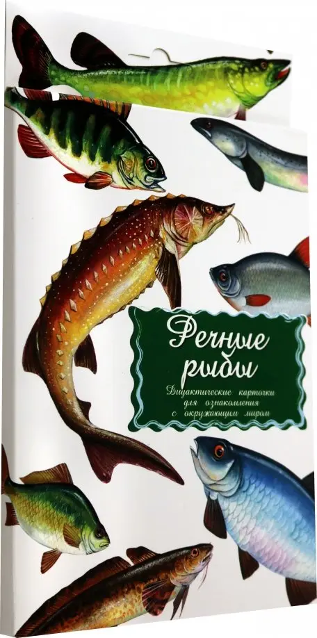 Дидактические карточки. Речные рыбы, 206.00 руб