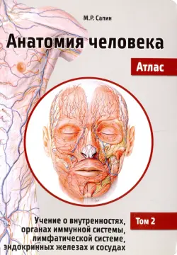 Анатомия человека. Атлас. Учебное пособие в 3-х томах. Том 2