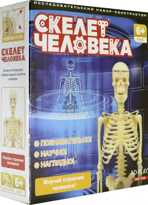 Набор для опытов «Скелет человека» 7310809