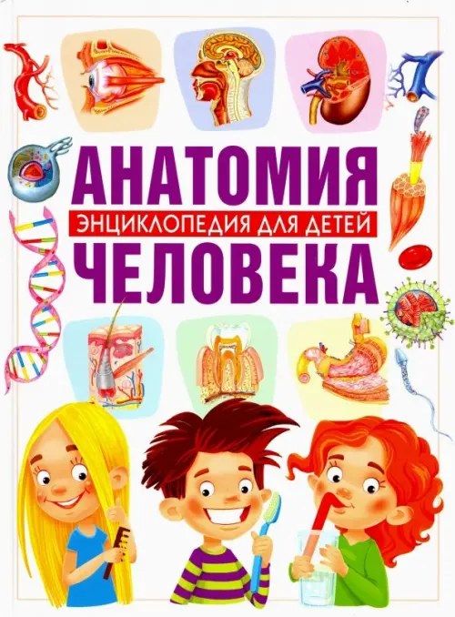 Анатомия человека. Энциклопедия для детей Владис