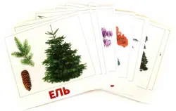Комплект карточек "Деревья"