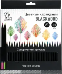 Набор карандашей "Blackwood", 24 цвета, трехгранные