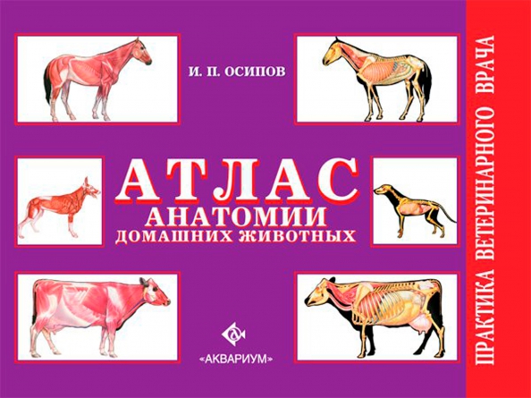 Атлас анатомии домашних животных