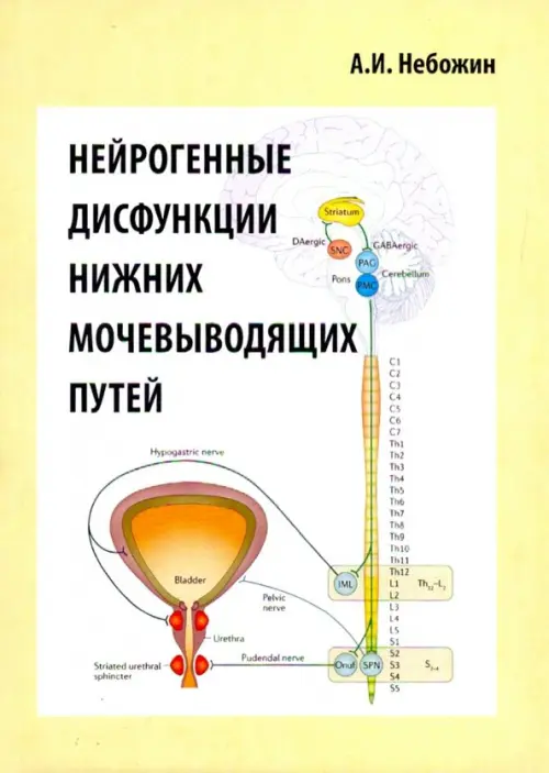 Нейрогенные дисфункции нижних мочевыводящих путей, 78.00 руб