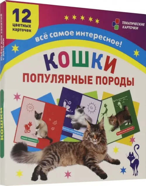 Самые популярные породы кошек: 12 карточек с изображением. ФГОС. ФГОС ДО