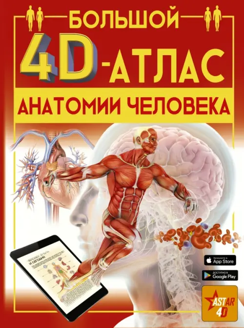 Большой 4D-атлас анатомии человека Аванта, цвет красный