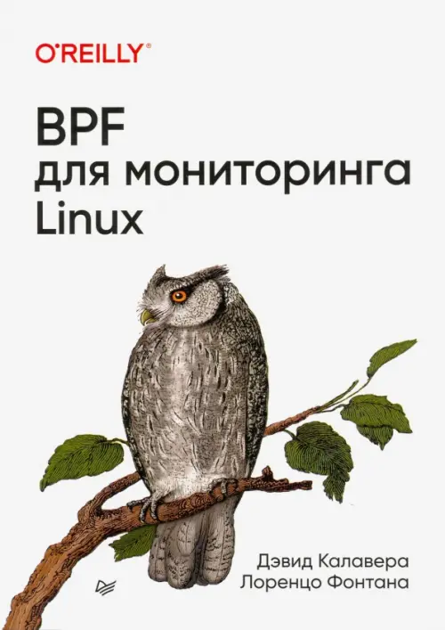BPF для мониторинга Linux, 1313.00 руб