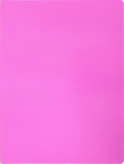 Папка с 30 прозрачными вкладышами "Бюрократ. Double Neon", цвет: розовый, A4, арт. DNE07V30PINK