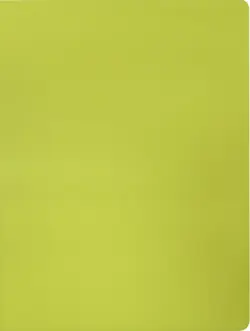 Папка с металлическим пружинным скоросшивателем и внутренним карманом "Бюрократ. Double Neon", цвет: желтый, A4, арт. DNE07PYEL