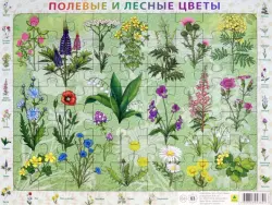 Детский пазл на подложке. Полевые и лесные цветы России, 63 элемента
