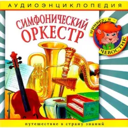 Аудиоэнциклопедия. Симфонический оркестр (CD)
