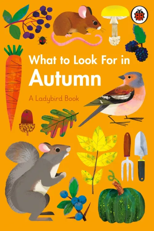 What to Look For in Autumn, 686.00 руб