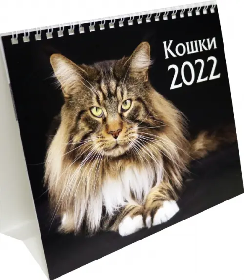 Календарь-домик (евро) Кошки. Маркет на 2022 год - купить книгу с  доставкой | Майшоп