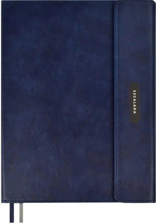 Ежедневник недатированный, Вачетто, А4, 160 листов, синий