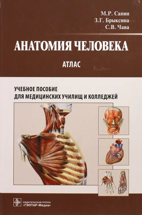 Анатомия человека. Атлас