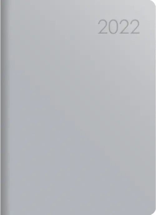 Ежедневник датированный на 2022 год. Paragraph. Серебро, А6, 176 листов