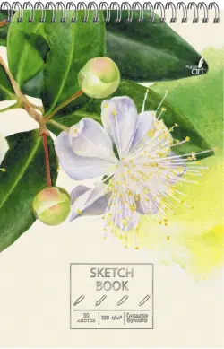 Скетчбук "Весенние цветы", А5+, 30 листов